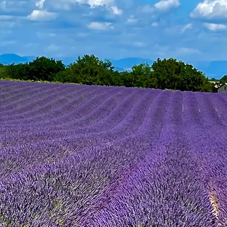 Coquelicot Alojamento de Acomodação e Pequeno-almoço