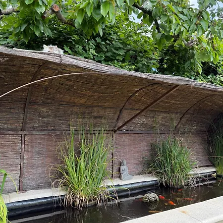 Coquelicot Alojamento de Acomodação e Pequeno-almoço Montagnac (Alpes-de-Haute-Provence)