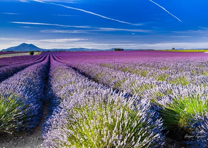 Coquelicot Bed and Breakfast Montagnac (Alpes-de-Haute-Provence)