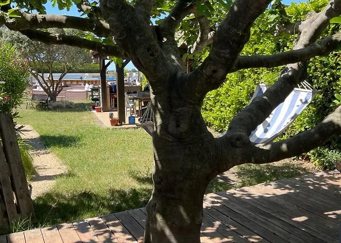 Coquelicot 3* Montagnac (Alpes-de-Haute-Provence)