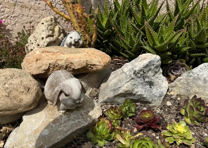 Bed and Breakfast Coquelicot