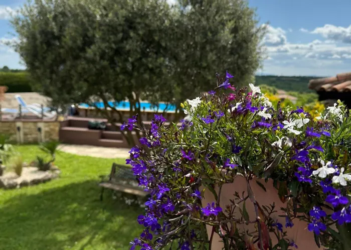 Bed and Breakfast Coquelicot Montagnac (Alpes-de-Haute-Provence)