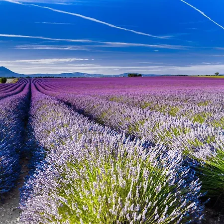 Coquelicot Bed and breakfast Montagnac (Alpes-de-Haute-Provence)