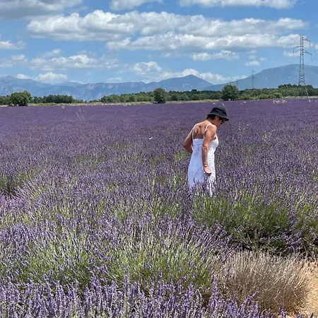 Coquelicot Bed & Breakfast