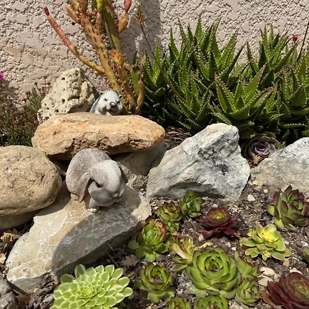 Bed and breakfast Coquelicot