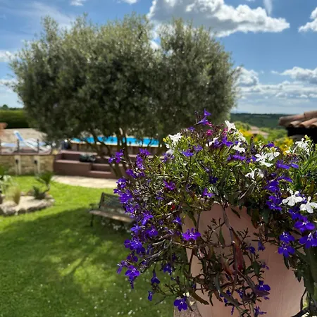 Bed & Breakfast Coquelicot Montagnac (Alpes-de-Haute-Provence)