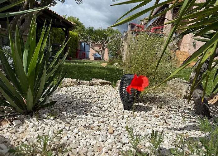 Coquelicot Montagnac